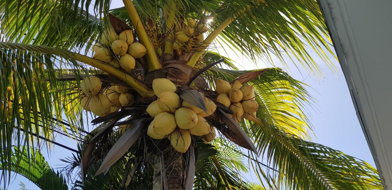 Palm Villa Sainte-Anne (Grande-Terre)