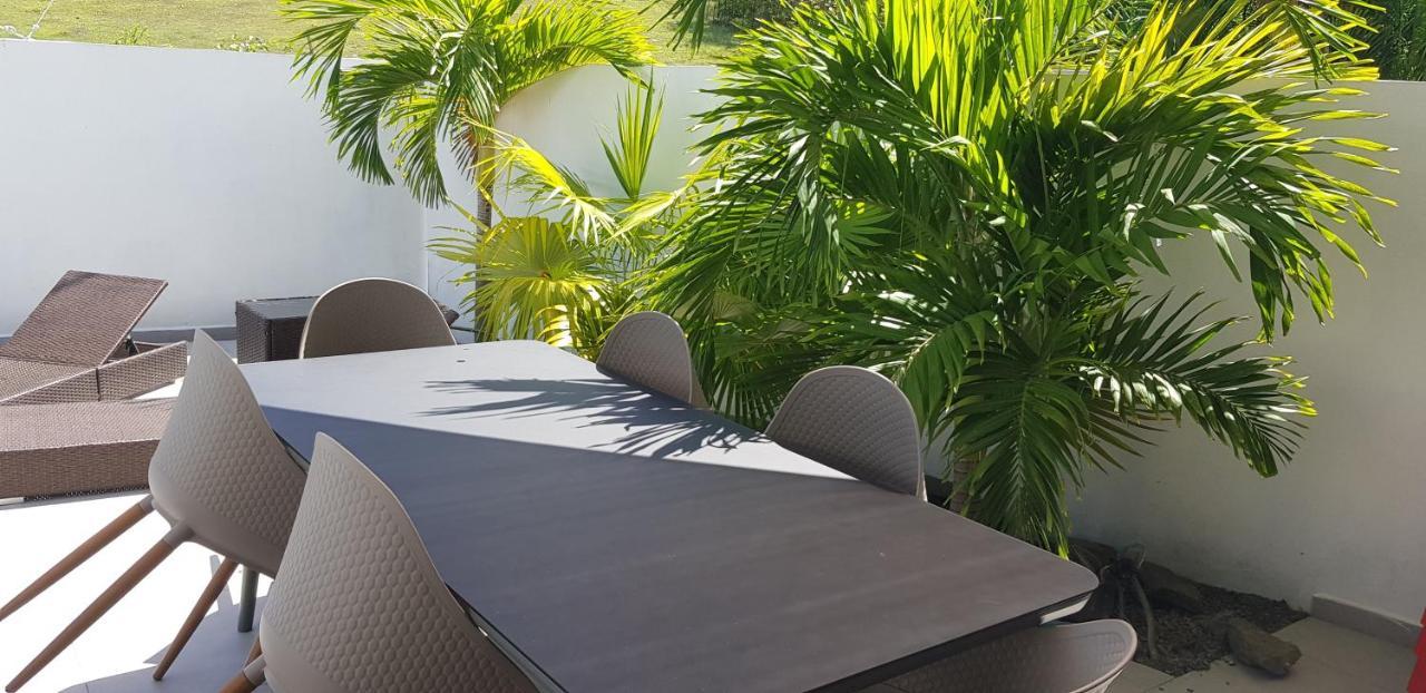 Palm *