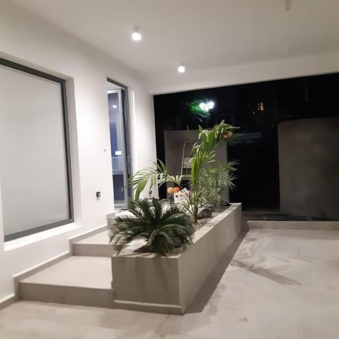 Palm Villa